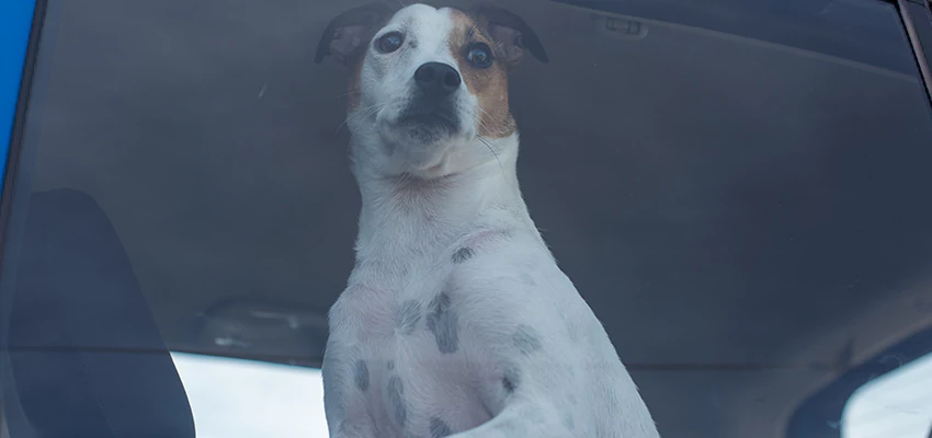 Car Lockout Solutions in El Rio, California