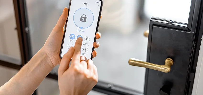 Remote Control Locks Sensor Repair in El Rio, California